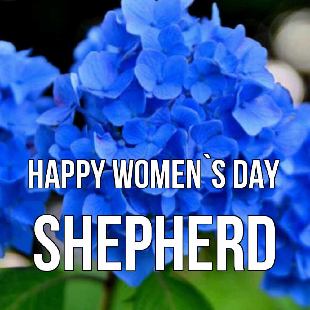 Greetings card с именем, Shepherd happy women`s day синие цветы Greetings with text for free download 